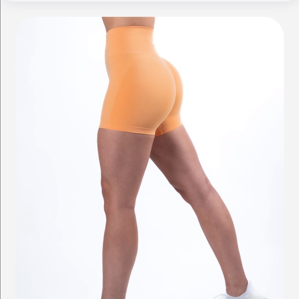 Amplify Short - Cheeky Coral